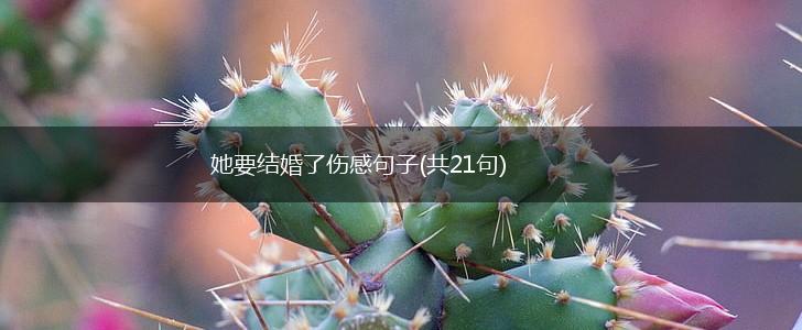 她要结婚了伤感句子(共21句),第1张