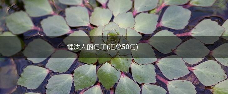 埋汰人的句子(汇总50句),第1张