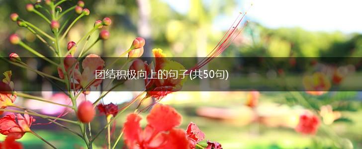 团结积极向上的句子(共50句),第1张