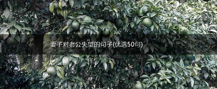 妻子对老公失望的句子(优选50句),第1张