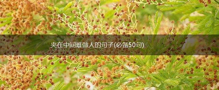 夹在中间难做人的句子(必备50句),第1张