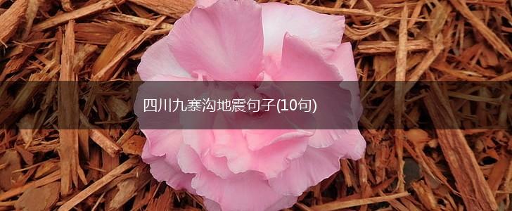四川九寨沟地震句子(10句),第1张