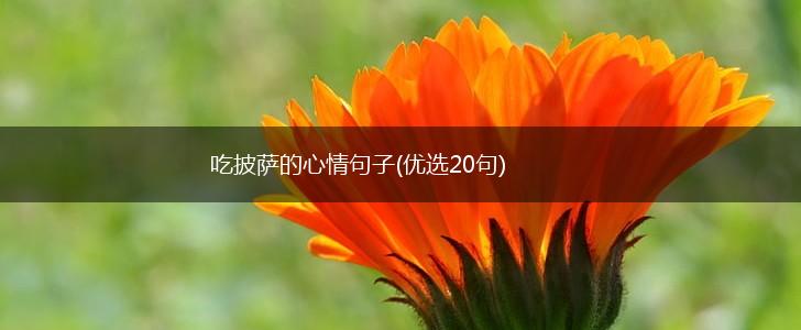 吃披萨的心情句子(优选20句),第1张