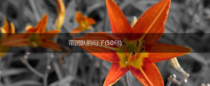 带团队的句子(50句),第1张