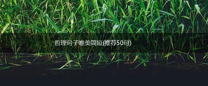 哲理句子唯美简短(推荐50句),第1张