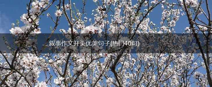 叙事作文开头优美句子(热门40句),第1张