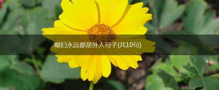 媳妇永远都是外人句子(共10句),第1张