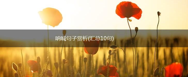 呐喊句子赏析(汇总10句),第1张