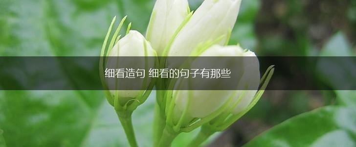 细看造句 细看的句子有那些,第1张