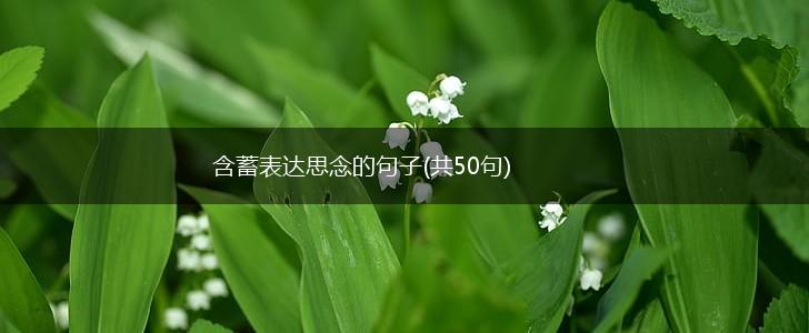 含蓄表达思念的句子(共50句),第1张