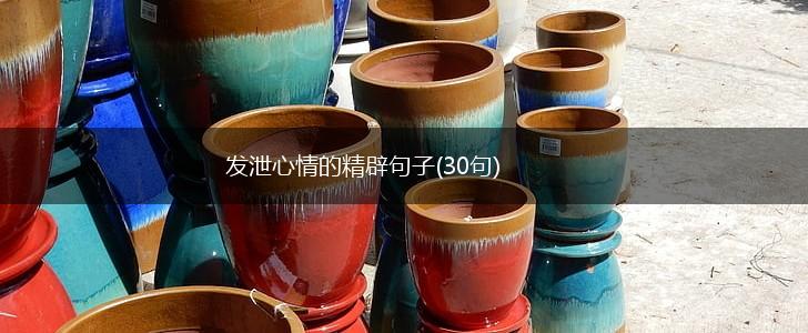 发泄心情的精辟句子(30句),第1张