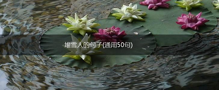 堆雪人的句子(通用50句),第1张