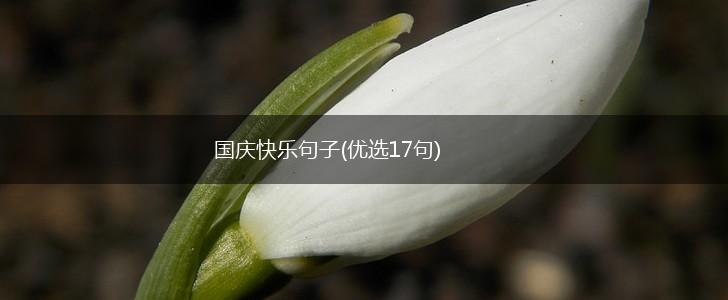 国庆快乐句子(优选17句),第1张