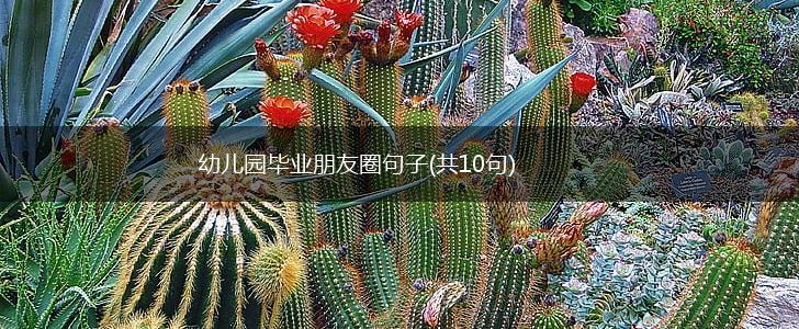 幼儿园毕业朋友圈句子(共10句),第1张