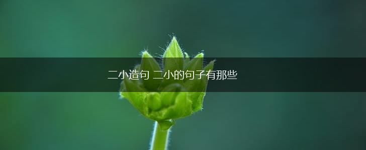二小造句 二小的句子有那些,第1张