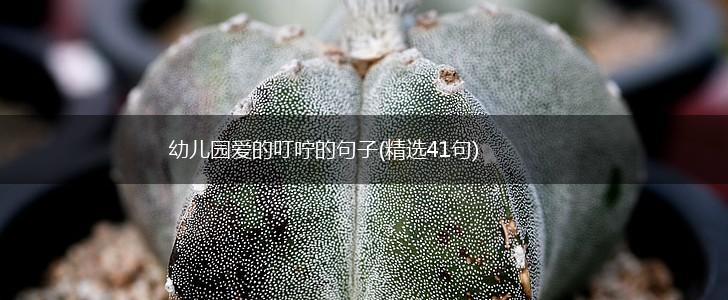 幼儿园爱的叮咛的句子(精选41句),第1张