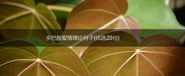 多巴胺爱情理论句子(优选20句),第1张