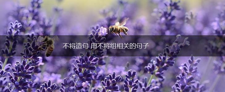 不将造句 用不将组相关的句子,第1张