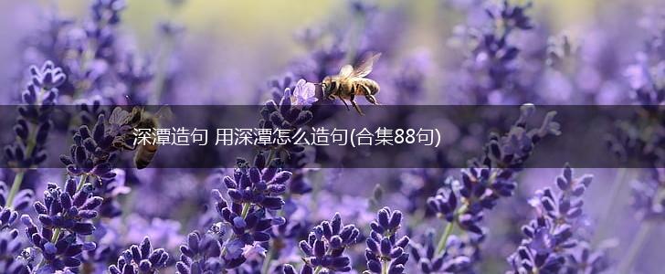 深潭造句 用深潭怎么造句(合集88句),第1张