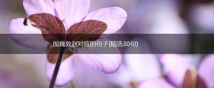 围巍救赵对应的句子(精选30句),第1张