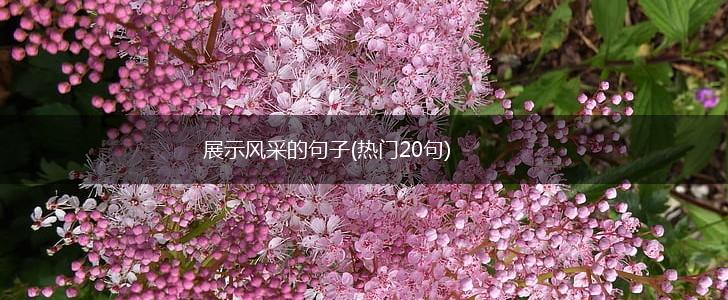 展示风采的句子(热门20句),第1张