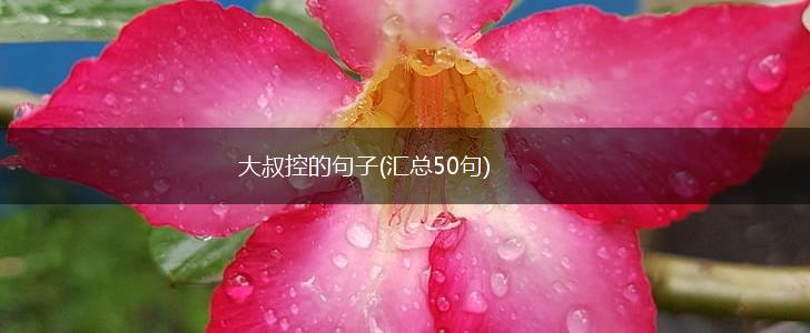 大叔控的句子(汇总50句),第1张