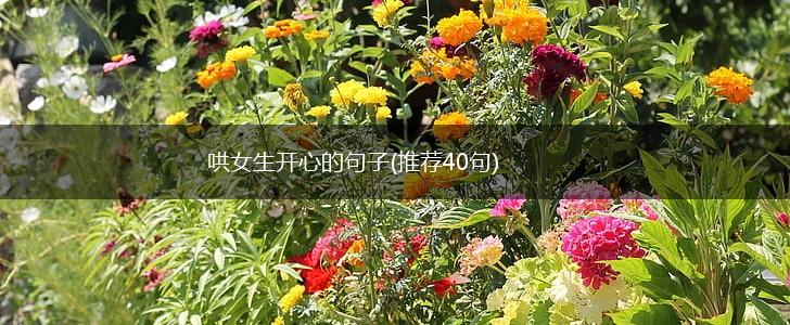 哄女生开心的句子(推荐40句),第1张