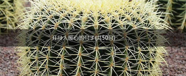 开导人暖心的句子(共50句),第1张