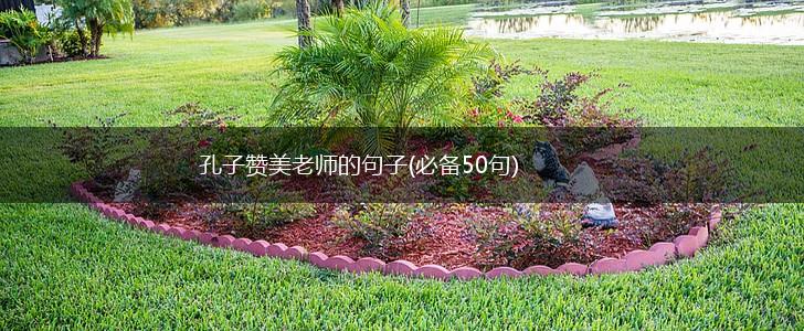 孔子赞美老师的句子(必备50句),第1张