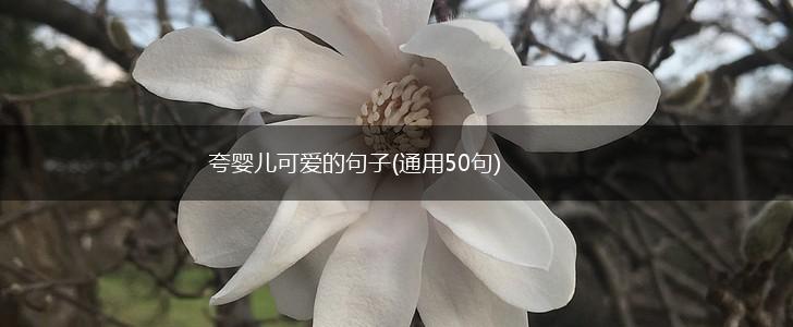 夸婴儿可爱的句子(通用50句),第1张