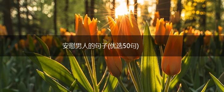 安慰男人的句子(优选50句),第1张
