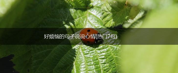 好烦恼的句子说说心情(热门7句),第1张