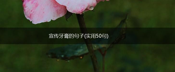 宣传牙膏的句子(实用50句),第1张