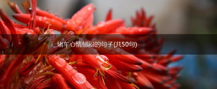 堵车心情郁闷的句子(共50句),第1张