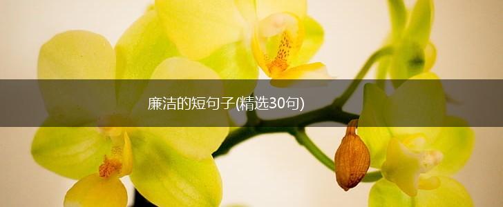 廉洁的短句子(精选30句),第1张