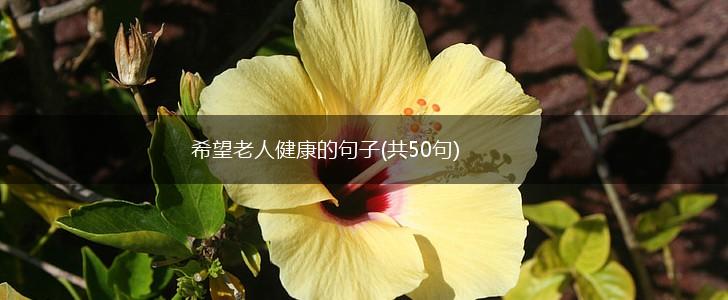 希望老人健康的句子(共50句),第1张