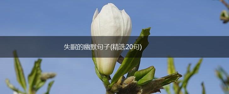 失眠的幽默句子(精选20句),第1张