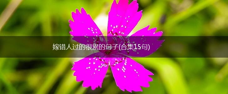 嫁错人过的很累的句子(合集15句),第1张