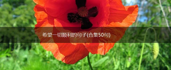 希望一切顺利的句子(合集50句),第1张
