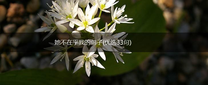 她不在乎我的句子(优选33句),第1张