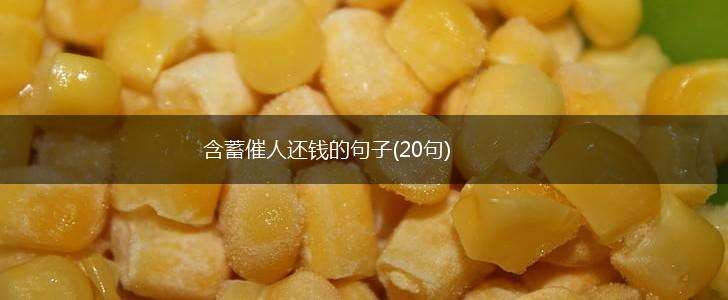 含蓄催人还钱的句子(20句),第1张