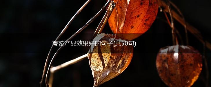 夸赞产品效果好的句子(共50句),第1张