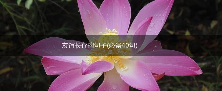友谊长存的句子(必备40句),第1张