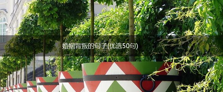 婚姻背叛的句子(优选50句),第1张