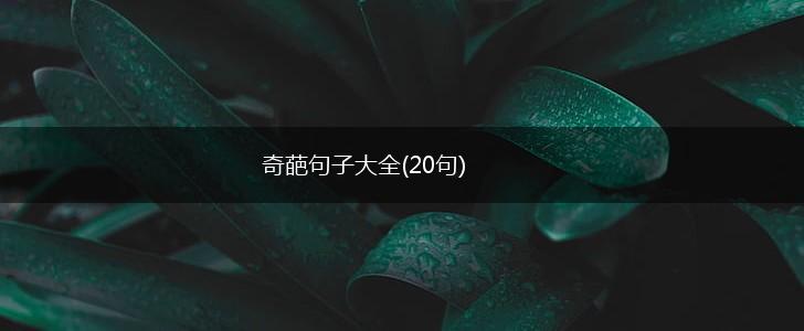 奇葩句子大全(20句),第1张
