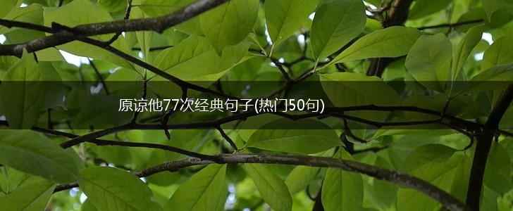 原谅他77次经典句子(热门50句),第1张