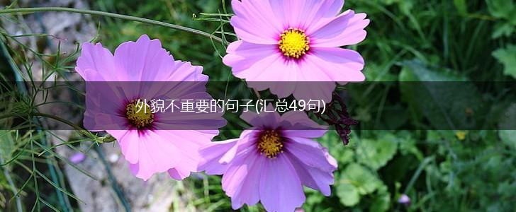 外貌不重要的句子(汇总49句),第1张