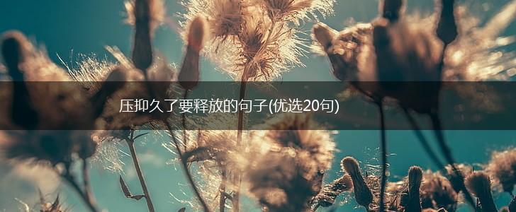 压抑久了要释放的句子(优选20句),第1张