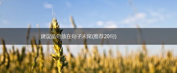 建议造句放在句子末尾(推荐20句),第1张