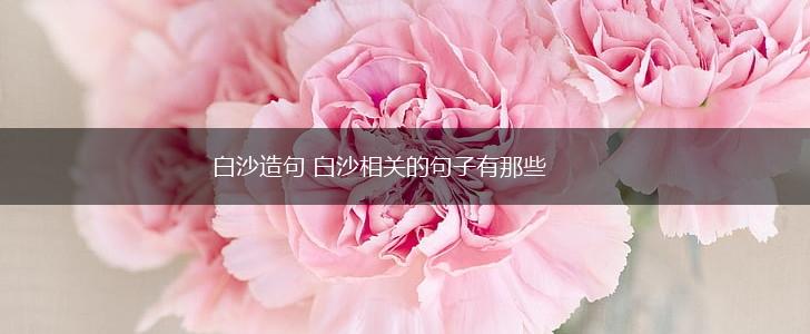 白沙造句 白沙相关的句子有那些,第1张